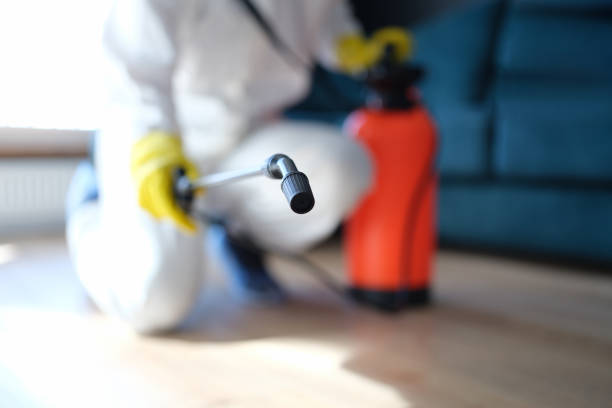 Best Mold Remediation for Rental Properties  in USA